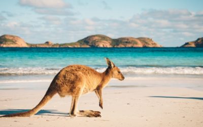 Traveling Australia On A Budget
