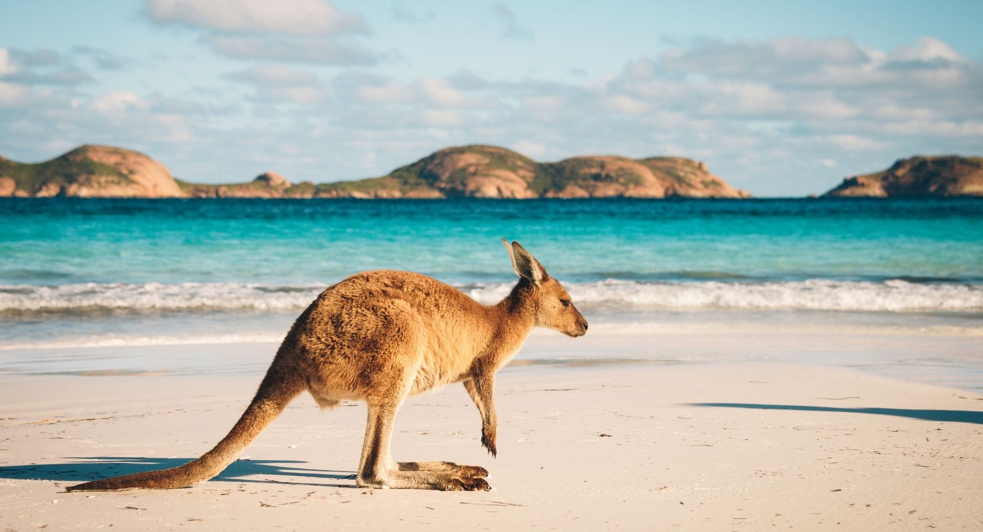 travel australia on a budget
