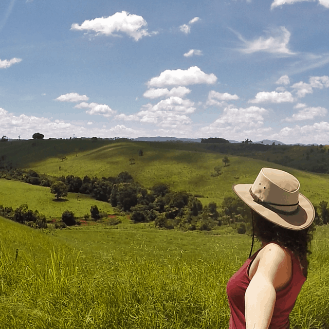 live on a farm in australia (1)