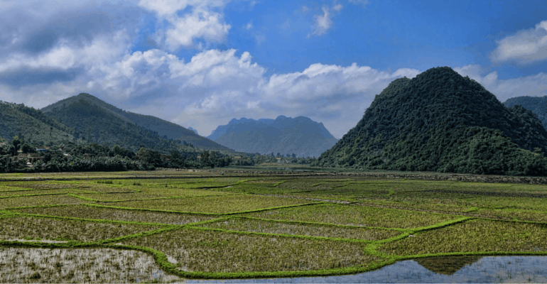 Vietnam