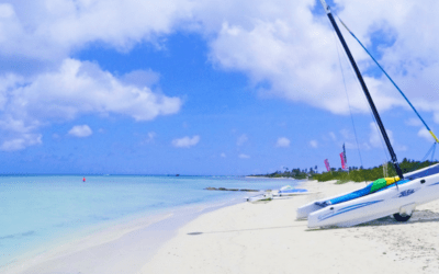 Best Things To Do In Aruba