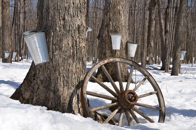 Sugar Shack Canada Quebec