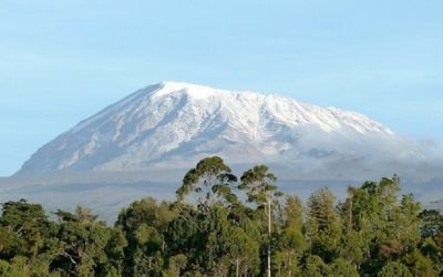 8 Reasons Why Mount Kilimanjaro Trekking Should Be On Your Bucket List