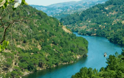 Perfect Douro Valley Self Drive Tour