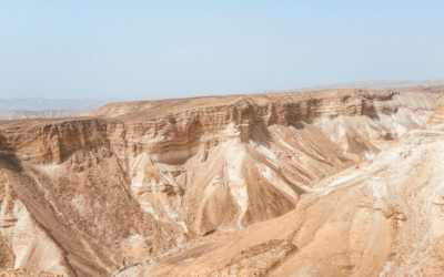 Complete Guide: Day Trip From Tel Aviv To Dead Sea