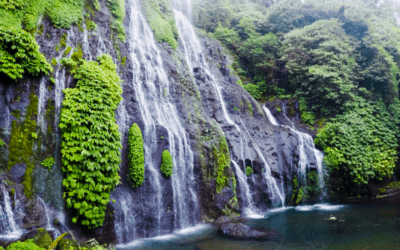 Travel Guide: Banyumala Twin Waterfalls