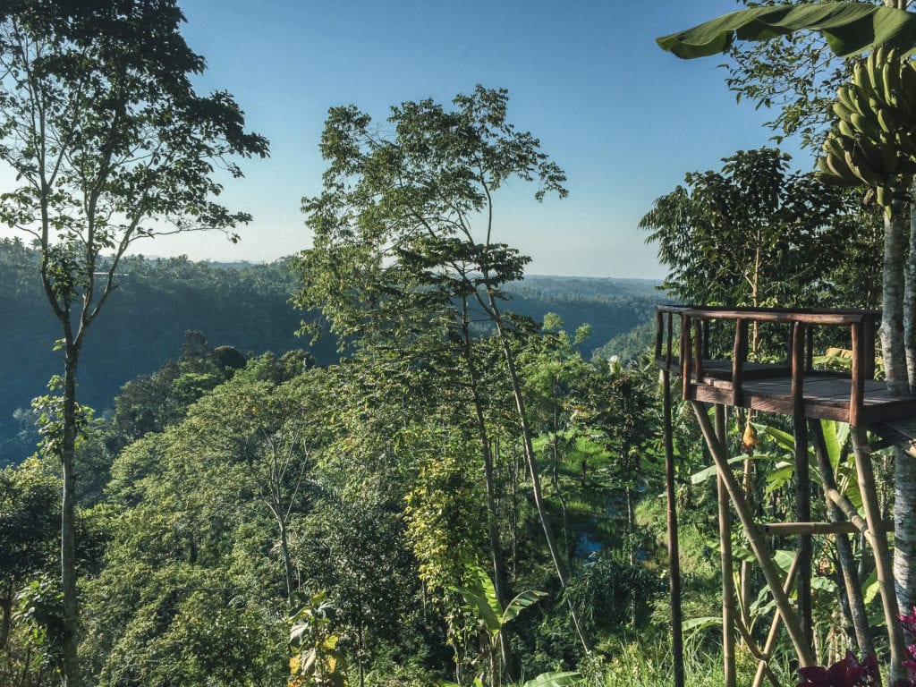 Bali Jungle Nungnung