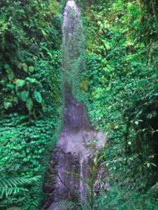 Bali waterfalls Nungnung waterfall