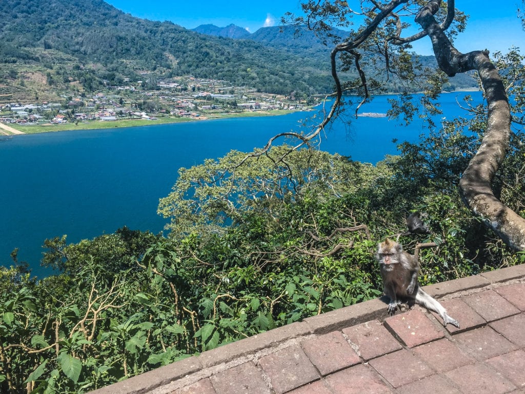 Monkey Bali | Twin Lake Munduk