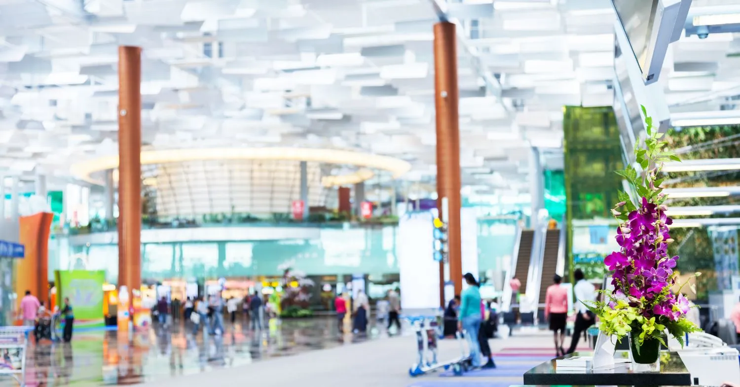 Changi Airport Terminal 3 Basement 2: Your Next Family Friendly  Destination! – BYKidO