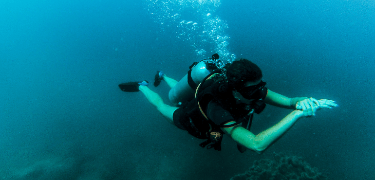 Koh Tao Diving