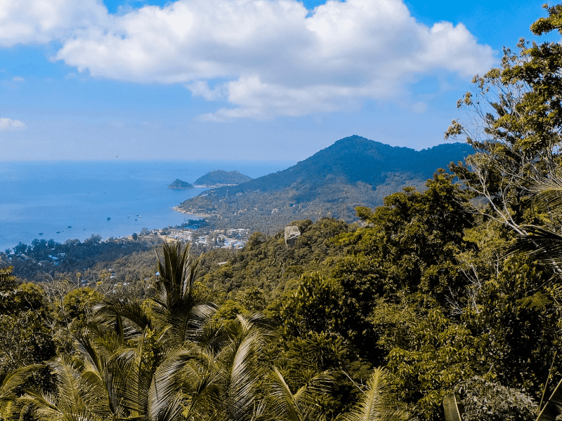 Things to do in Koh Tao Thailand