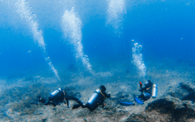 How To Plan A Nusa Penida Diving Trip