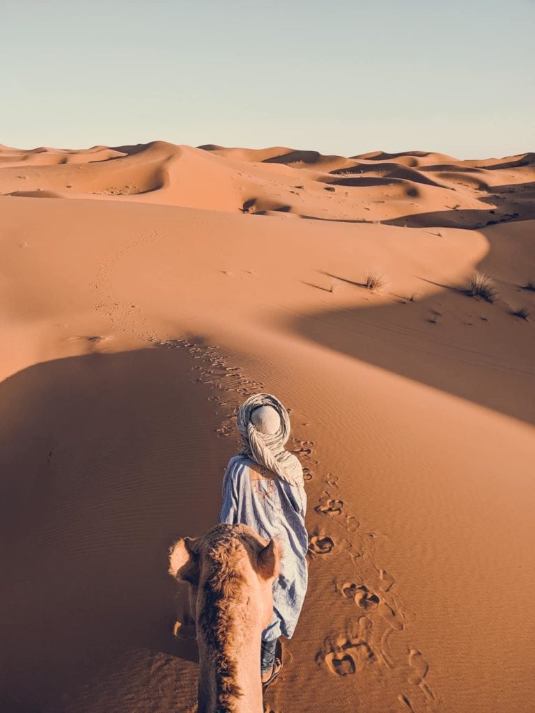 sahara trip