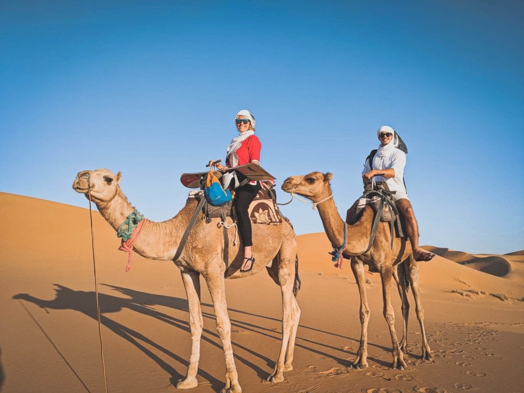 sahara camel trek