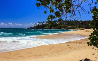 Best Beaches In The South Of Sri Lanka