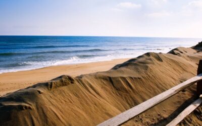 Best Beaches In Cape Cod, MA