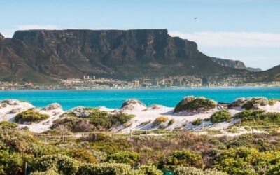 What Is the Best Month To Visit Cape Town?