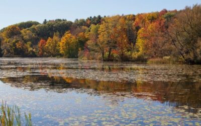 Best Things To Do In The Berkshires