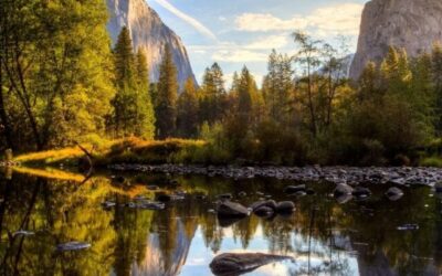 Yosemite VS Yellowstone: Which One Should You Visit?