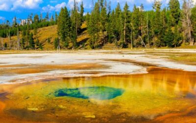 Perfect 3 Days In Yellowstone Itinerary