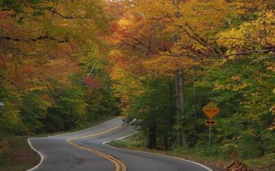 Road Trip Guide: The Best Vermont Scenic Drives