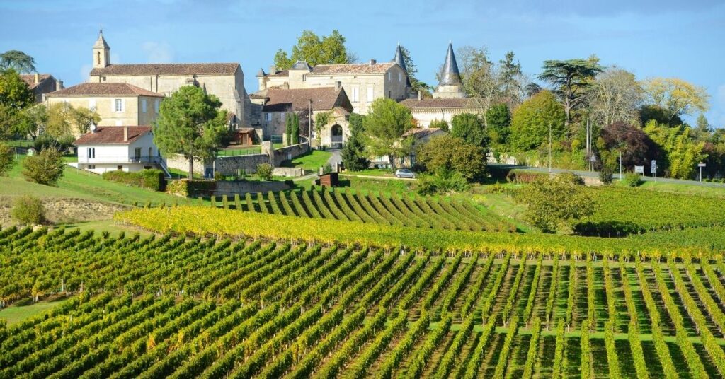 Bordeaux wine region