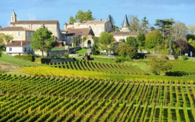 Complete Guide: The Best Wine Regions In The World