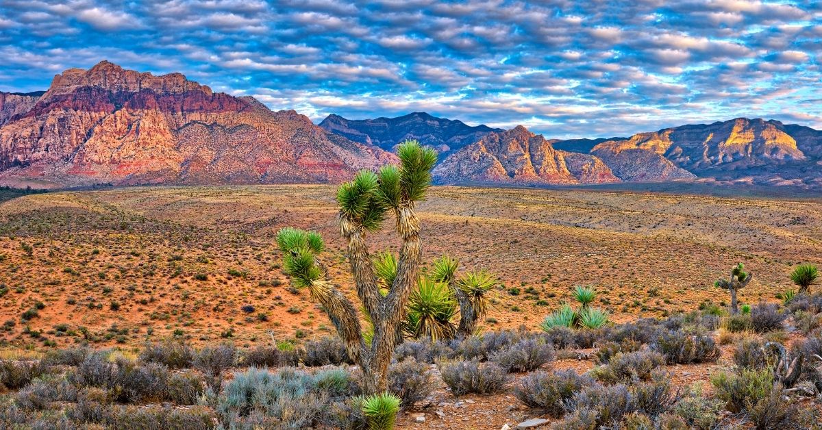 red rock canyon