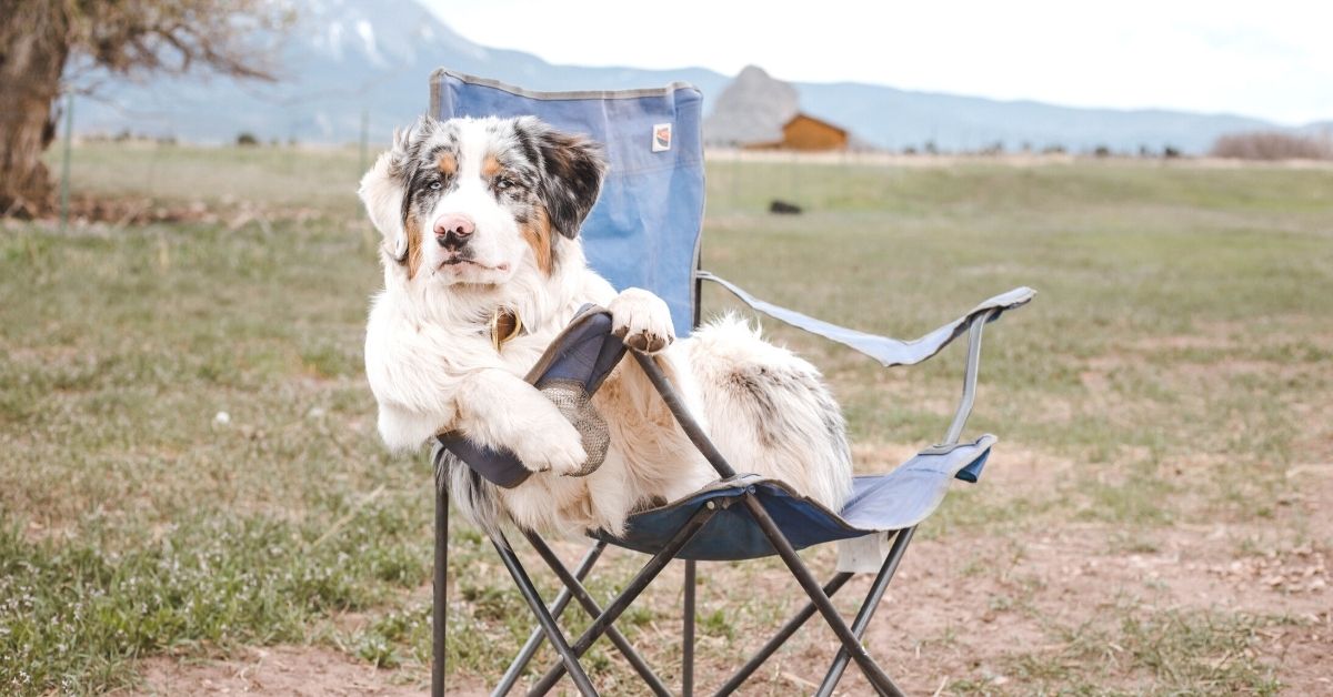 Backpacking chair lightweight