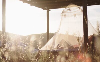 Buying Guide: 4 Best Travel Mosquito Net