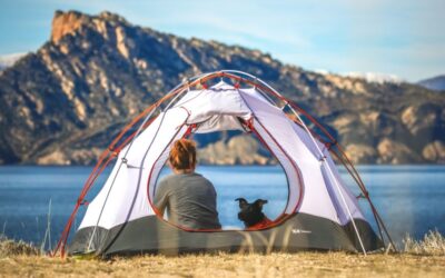 Buying Guide: Best Fans For Camping