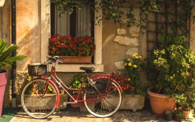 Complete Guide: Finding House Sitting Jobs In Europe