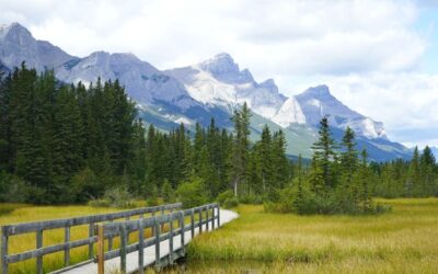 Complete Guide: Short And Easy Hikes In Canmore