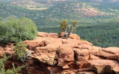 6 Short And Easy Hikes In Sedona