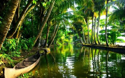 Best Places To Visit In Trivandrum