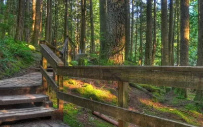 7 Short And Easy Hikes In Vancouver