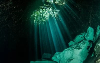 Complete Guide: Best Cenotes In Tulum