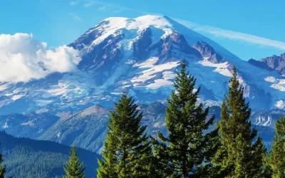 Complete Guide: 8 Best Hikes In Mt Rainier