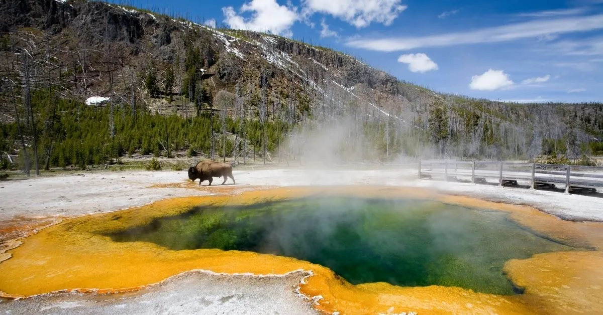 Yellowstone USA