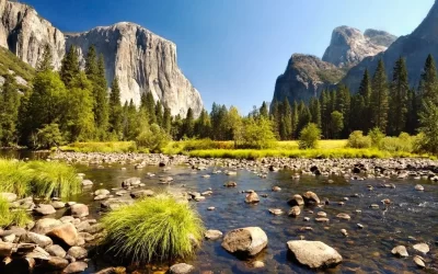 Yosemite VS Yellowstone: Which One Is Better?