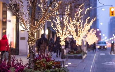 Best Things To Do In Toronto In December