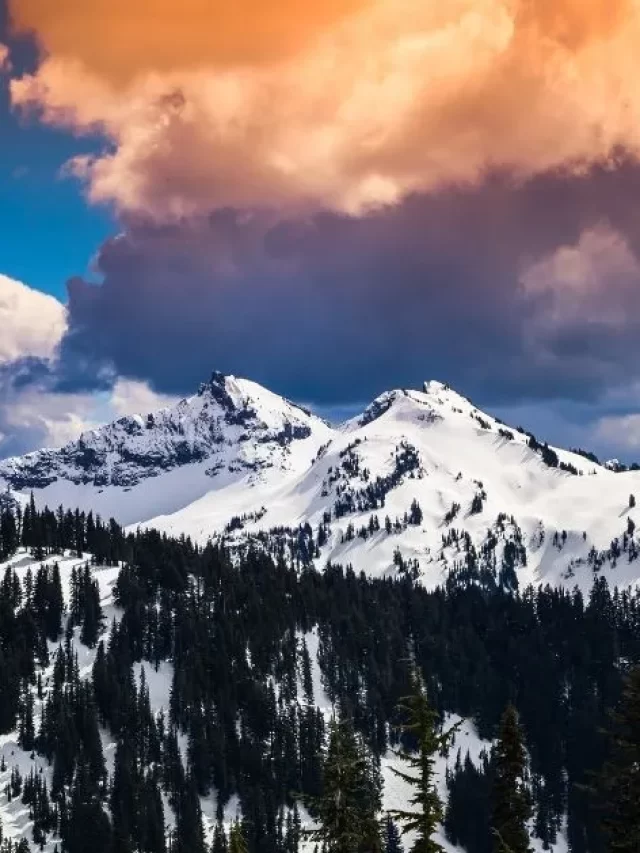 Best Hikes In Mt Rainier From Easy To Hard