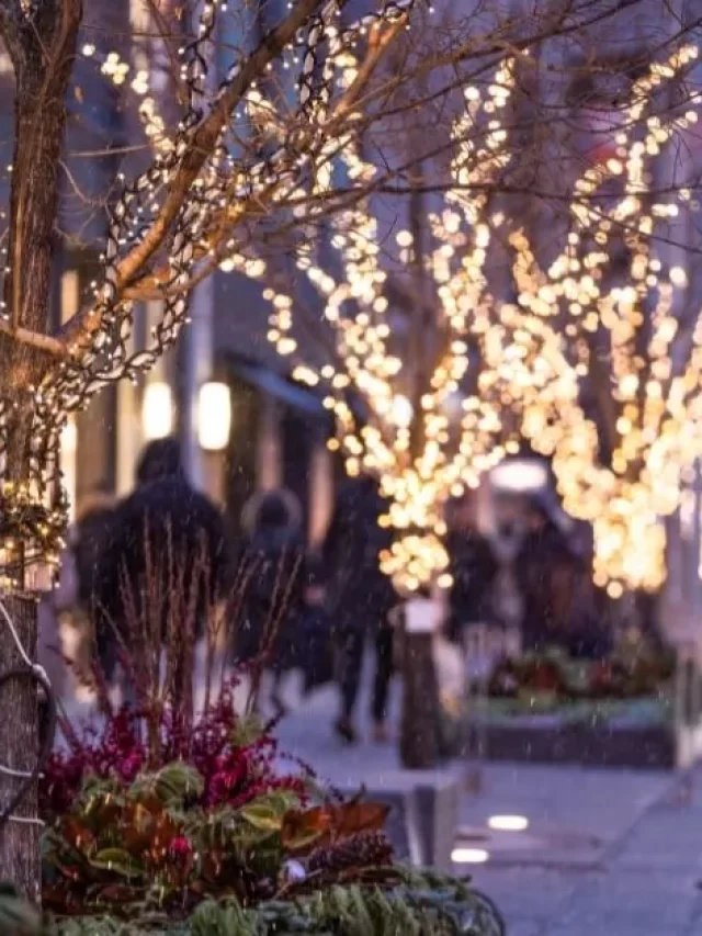 Best Things To Do In Toronto In December