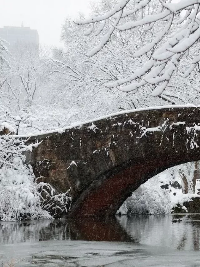 Fun Things To Do In NYC In Winter