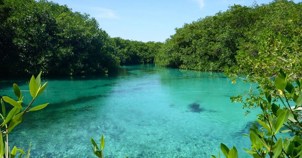 Casa Cenote