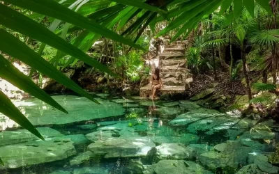 Beautiful Cenotes Near Playa Del Carmen