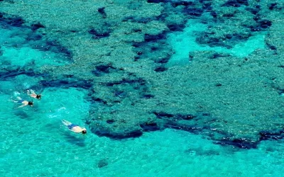 Best Places To Snorkel In Oahu