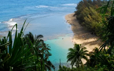 Complete Guide: Snorkeling In Kauai