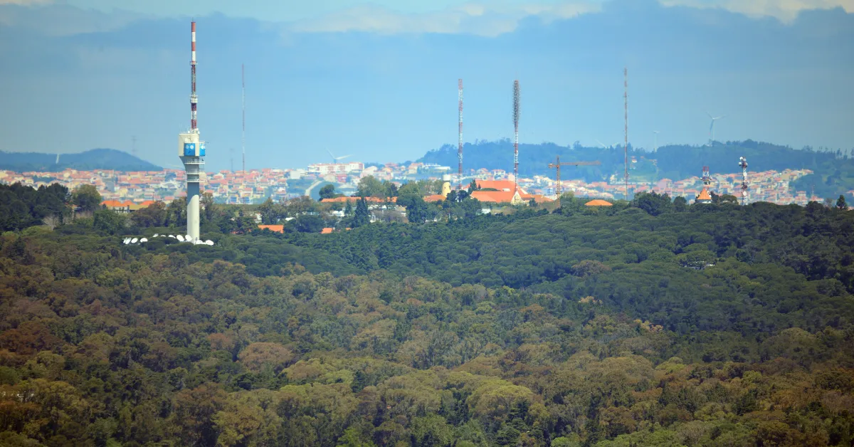 forest view with city view in distance from monsanto forest park trail hiking near lisbon